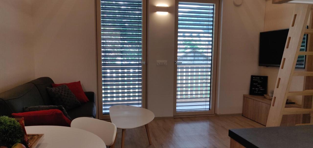 Vila Mojca - Studio 13 Краньска Гора Экстерьер фото